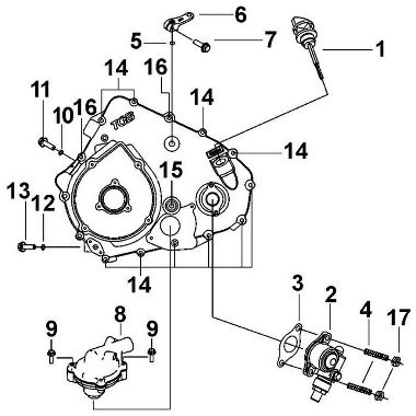 Запасные части для квадроциклов Двигатель (Крышка левого картера)